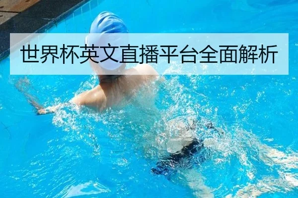 世界杯英文直播平台全面解析