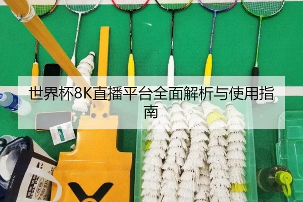 世界杯8K直播平台全面解析与使用指南