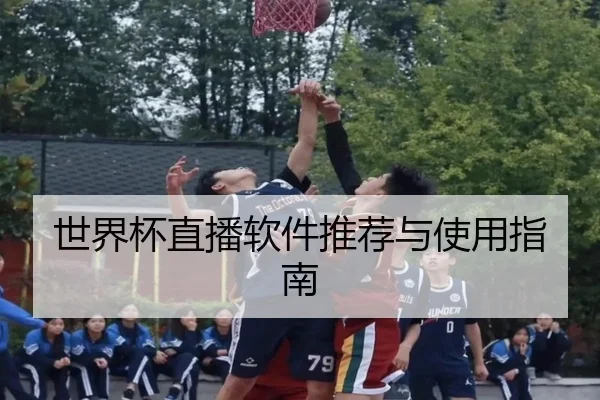 世界杯直播软件推荐与使用指南