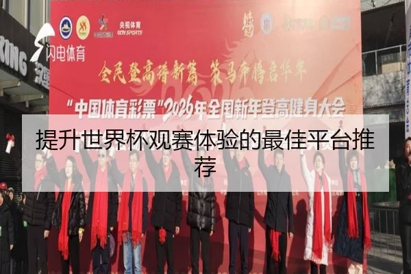 提升世界杯观赛体验的最佳平台推荐