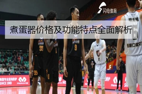 煮蛋器价格及功能特点全面解析
