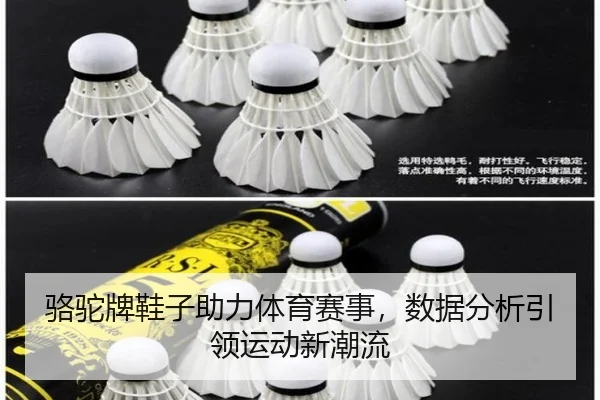 骆驼牌鞋子助力体育赛事，数据分析引领运动新潮流