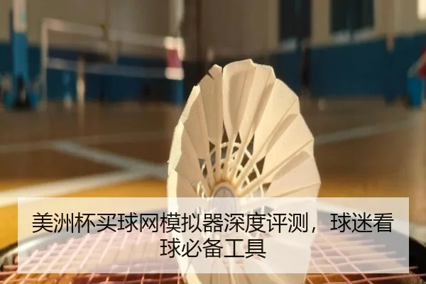 美洲杯买球网模拟器深度评测，球迷看球必备工具