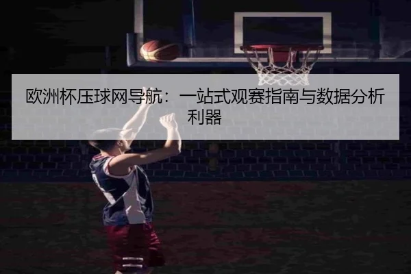 欧洲杯压球网导航：一站式观赛指南与数据分析利器